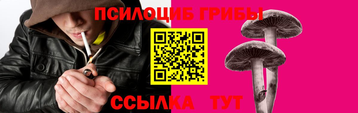 Галлюциногенные грибы GOLDEN TEACHER Арсеньев